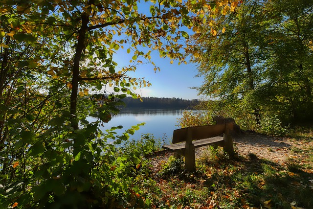 试和体能评 试和体能评