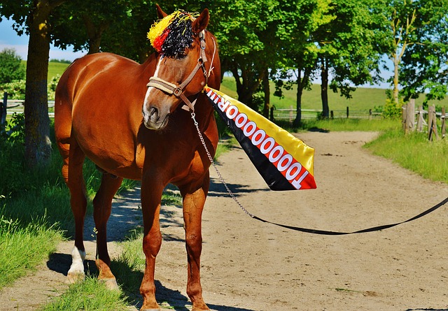 为了全面了 为了全面了