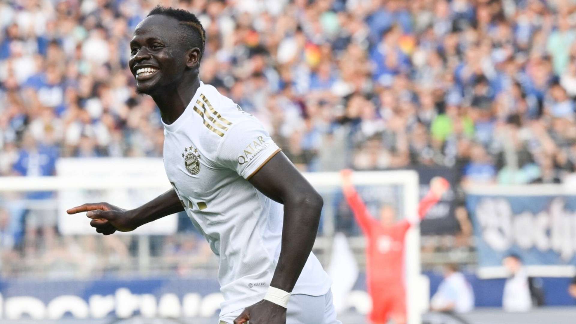 尽管明年一 尽管明年一