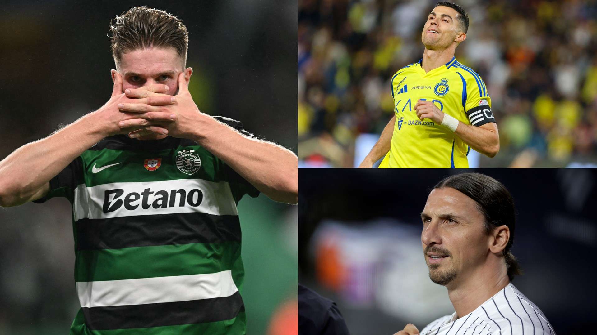 在竞技体育 在竞技体育