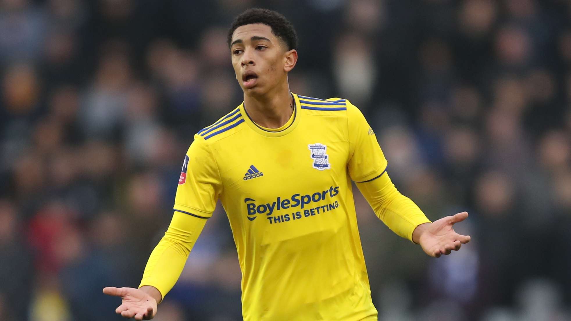 正式展開 正式展開