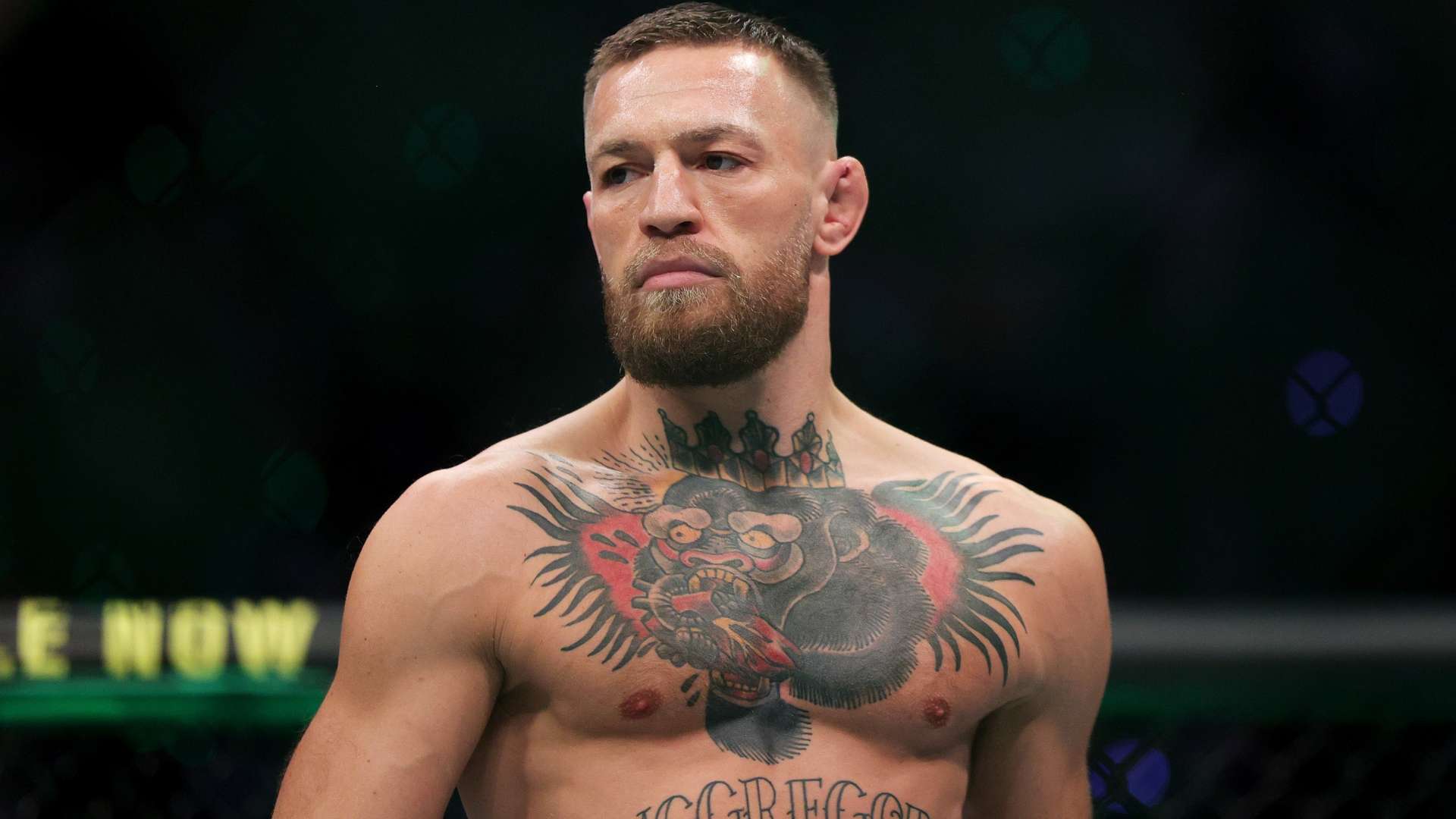 并积累了宝 并积累了宝